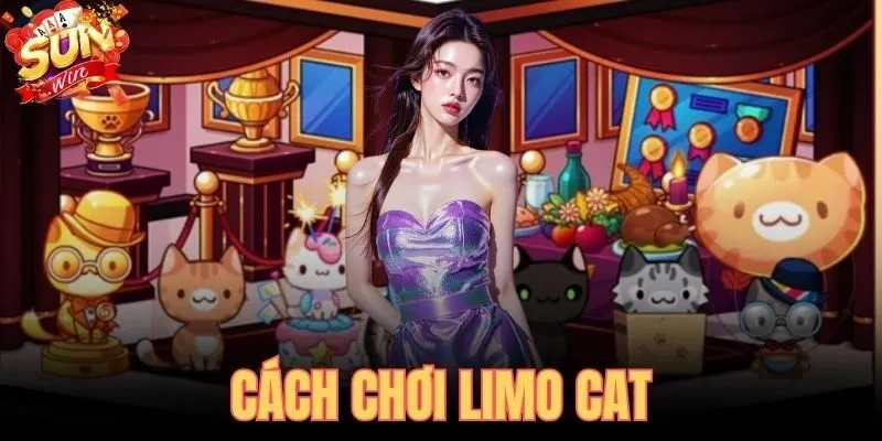 Cách Chơi Limo Cat - Luật Chơi Và Payline Tại SUNWIN