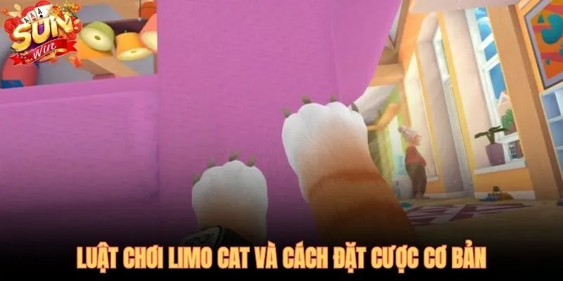 Luật cách chơi Limo Cat 20 Payline cố định và biểu tượng cơ bản